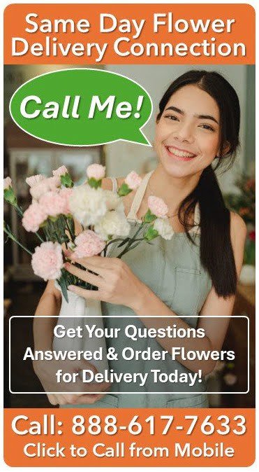 Plano TX - Same Day Flower Delivery. Same Day Flower Delivery Plano TX, Send Flowers Plano TX